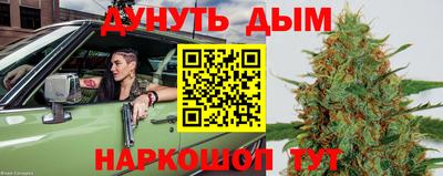 прущие крисы Гусев