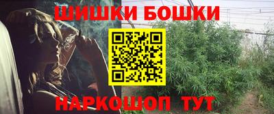 прущие крисы Гусев