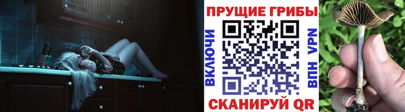 Псилоцибиновые грибы мухоморы  как найти закладки  Старая Русса 