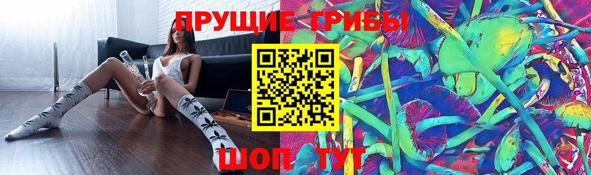 Галлюциногенные грибы прущие грибы  Вход с VPN  Старая Русса 