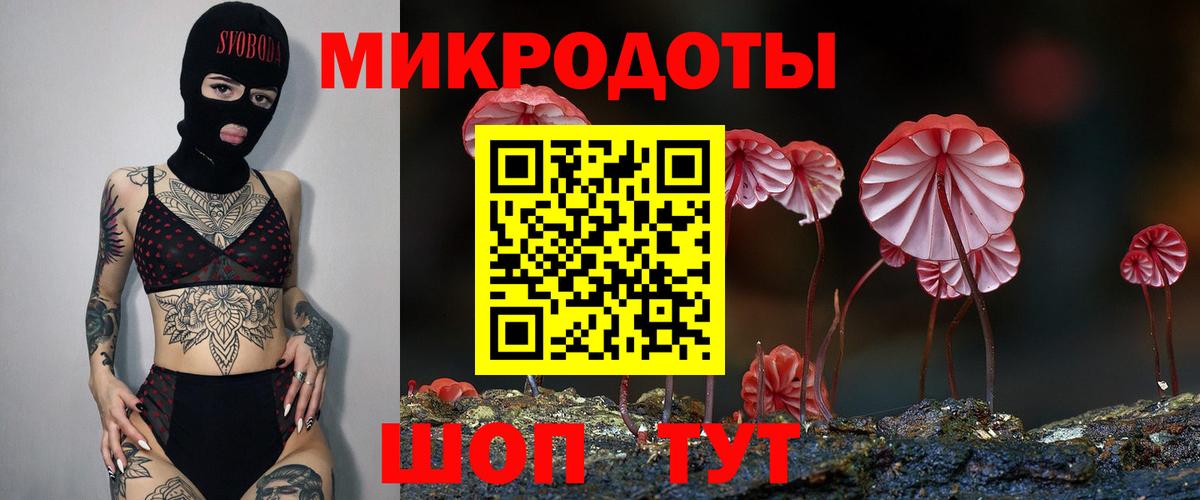 Галлюциногенные грибы мухоморы Старая Русса