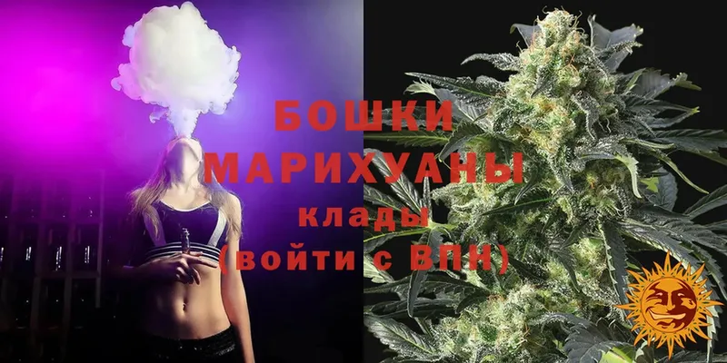 где купить наркоту  Старая Русса  Шишки марихуана THC 21% 